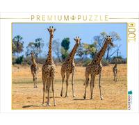 CALVENDO Puzzle Giraffen im Moremi Game Reserve | 1000 Teile Lege-Größe 64x48cm