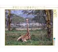 CALVENDO Puzzle Giraffes - Afternoon Nap | 1000 pieces, finished size 25.2 × 18.