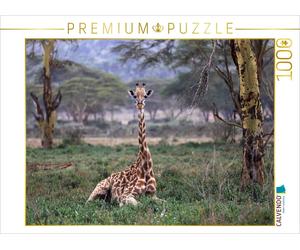 CALVENDO Puzzle Giraffes - Afternoon Nap | 1000 pieces, finished size 25.2 × 18.
