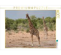 CALVENDO Puzzle Giraffes in Etosha National Park | 1000 pieces, finished size 25