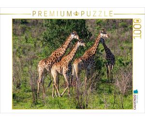 CALVENDO Puzzle Giraffes on their way to the waterhole, South Africa | 1000 piec