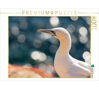 CALVENDO Puzzle Glitzerndes Wasser - Basstölpel 1000 Teile Puzzle quer | 1000 Te