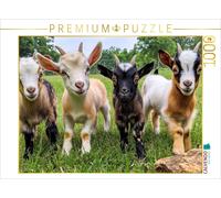 CALVENDO Puzzle Goats | 1000 pieces, finished size 25.2 × 18.9 in (64 × 48 cm) |