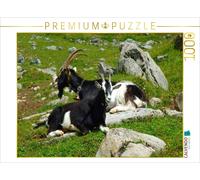 Puzzle CALVENDO Les chèvres dans les Alpes suisses | 1000 pièces, format assembl