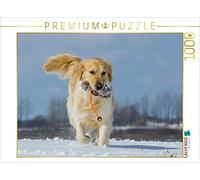 CALVENDO Puzzle Golden Retriever 1000 Pieces 64 x 48 cm from Sista-Tierfoto