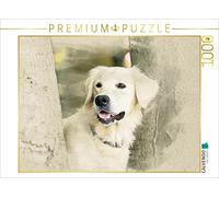 CALVENDO Puzzle Golden Retriever 2017 1000 Pieces 64 x 48 cm from Andrea Redecker
