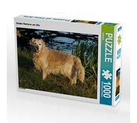 CALVENDO Puzzle Golden Retriever am Ufer 1000 Teile Puzzle quer 1000 Pieces 64 x 48 cm from Kattobello