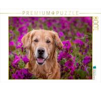 CALVENDO Puzzle Golden Retriever dans Une mer de Fleurs 1000 Pieces 64 x 48 cm from Daniela Hofmeister