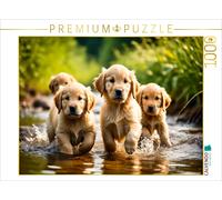 CALVENDO Puzzle Golden Retriever puppies | 1000 pieces, finished size 25.2 × 18.