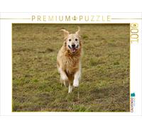 CALVENDO Puzzle Golden Retriever in Aktion 1000 Teile Puzzle quer 1000 Pieces 64 x 48 cm from Kattobello