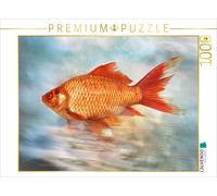 CALVENDO Puzzle Poisson Rouge 1000 Pieces 64 x 48 cm from Liselotte Brunner-Klaus