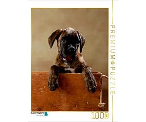 CALVENDO Puzzle Gonzo Boxeur Allemand 11 Semaines 1000 Pièces Taille 48 x 64 cm Photo Puzzle Image de Jana Behr