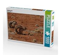 CALVENDO Puzzle Gophers 1000 Pieces 64 x 48 cm from Gerald Wolf