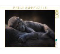 CALVENDO Puzzle Gorilla | 1000 pieces, finished size 25.2 × 18.9 in (64 × 48 cm)
