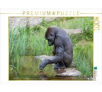 CALVENDO Puzzle Gorilla | 1000 pieces, finished size 25.2 × 18.9 in (64 × 48 cm)