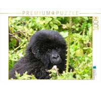 CALVENDO Puzzle Gorille de Montagne au Rwanda 1000 Pieces 64 x 48 cm from Michael Herzog