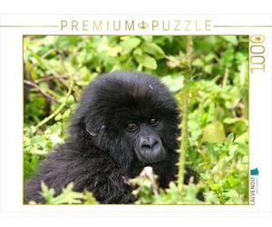 CALVENDO Puzzle Gorille de Montagne au Rwanda 1000 Pieces 64 x 48 cm from Michael Herzog
