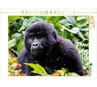 CALVENDO Puzzle Gorille de Montagne juvénile 1000 Pieces 64 x 48 cm from Hawkeyes-Pictures
