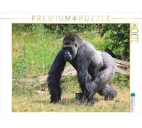 CALVENDO Puzzle Gorille de Plaine Occidental - Silverback Jambo (4) 1000 Pieces 64 x 48 cm from Michael Herzog