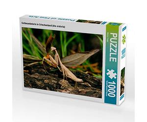 CALVENDO Puzzle Gottesanbeterin in Griechenland (Iris oratoria) 1000 Teile Puzzle quer 1000 Pieces 64 x 48 cm from Benny Trapp