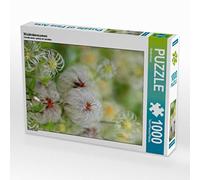 CALVENDO Puzzle Graines de Pissenlit 1000 Pieces 48 x 64 cm from Gisela Kruse
