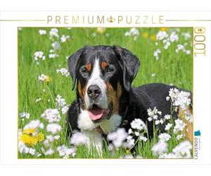 CALVENDO Puzzle Grand Bouvier Suisse dans Une Prairie Fleurie 1000 Pieces 64 x 48 cm from SchnelleWelten
