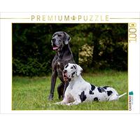 CALVENDO Puzzle Grand Danois 2017 1000 Pieces 64 x 48 cm from Sista-Tierfoto