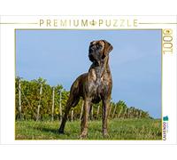 CALVENDO Puzzle Grand Danois 2017 1000 Pieces 64 x 48 cm from Sista-Tierfoto