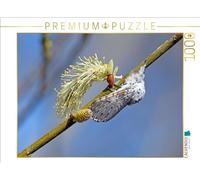 CALVENDO Puzzle Grande Queue Fourchée (Cerura vinula) | 1000 pièces Taille de la Pose 64 x 48 cm Puzzle Photo pour des Heures heureuses