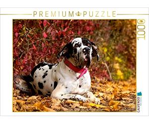 CALVENDO Puzzle Grands Danois - de gentils géants 1000 Pieces 64 x 48 cm from Marion Reiß - Seibert