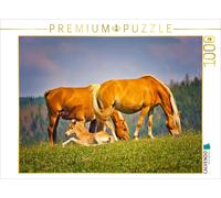 CALVENDO Puzzle grazing | 1000 pieces, finished size 25.2 × 18.9 in (64 × 48 cm)