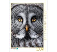 CALVENDO Puzzle Great horned owl in fascinating close-up | 1000 pieces, finished