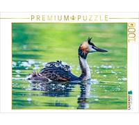CALVENDO Puzzle Grèbe huppé avec Poussin 1000 Pieces 64 x 48 cm from ellenlichtenheldt