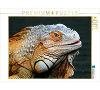 CALVENDO Puzzle Green iguana | 1000 pieces, finished size 25.2 × 18.9 in (64 × 4