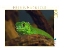 CALVENDO Puzzle Dragon d'eau Chinois 1000 Pieces 64 x 48 cm from Sigrid Enkemeier