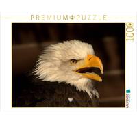 CALVENDO Puzzle Greifvögel - Der Weißkopfseeadler | 1000 Teile Lege-Größe 64x48c