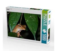 CALVENDO Puzzle Grenouille 1000 Pieces 64 x 48 cm from Christina Williger