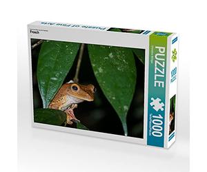 CALVENDO Puzzle Grenouille 1000 Pieces 64 x 48 cm from Christina Williger
