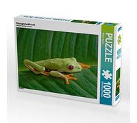 CALVENDO Puzzle Grenouille arboricole aux Yeux Rouges 1000 Pieces 64 x 48 cm from Michael Matziol