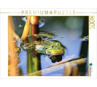 CALVENDO Puzzle Grenouille d'étang 1000 Pieces 64 x 48 cm from Sabine Löwer