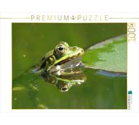 CALVENDO Puzzle Grenouille se reflétant dans l'eau 1000 Pieces 64 x 48 cm from Claudia Schimmack