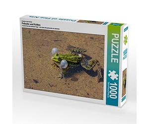 CALVENDO Puzzle Grenouilles et crapauds 1000 Pieces 64 x 48 cm from Barbara Mielewczyk