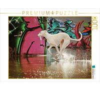 CALVENDO Puzzle Greyhound Racing | 1000 pieces, finished size 25.2 × 18.9 in (64