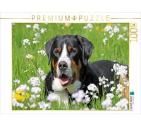 CALVENDO Puzzle Grand Bouvier Suisse dans Une Prairie Fleurie 1000 Pieces 64 x 48 cm from SchnelleWelten