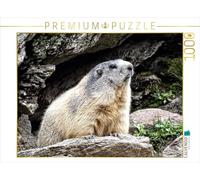 CALVENDO Puzzle Groundhog.....L'air a Un goût de chiotte 1000 Pieces 64 x 48 cm from Susan Michel