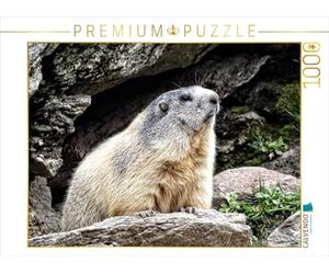 CALVENDO Puzzle Groundhog.....L'air a Un goût de chiotte 1000 Pieces 64 x 48 cm from Susan Michel