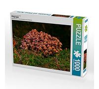 CALVENDO Puzzle Groupe Champignon 1000 Pieces 64 x 48 cm from Peter Roder
