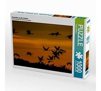 CALVENDO Puzzle Grues à la mer Baltique 1000 Pieces 64 x 48 cm from Reinhold Wittich