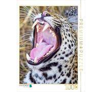 CALVENDO Puzzle Guépard 1000 Pieces 48 x 64 cm from Peter Roder