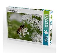 CALVENDO Puzzle Guêpe gauloise sur sureau terrestre 1000 Pieces 64 x 48 cm from Silvia Hahnefeld